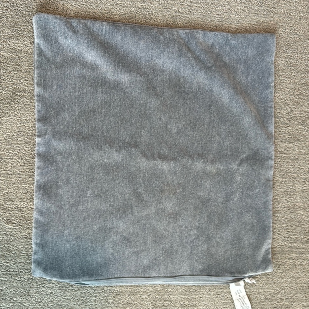 Pottery barn 22” pillow cover
